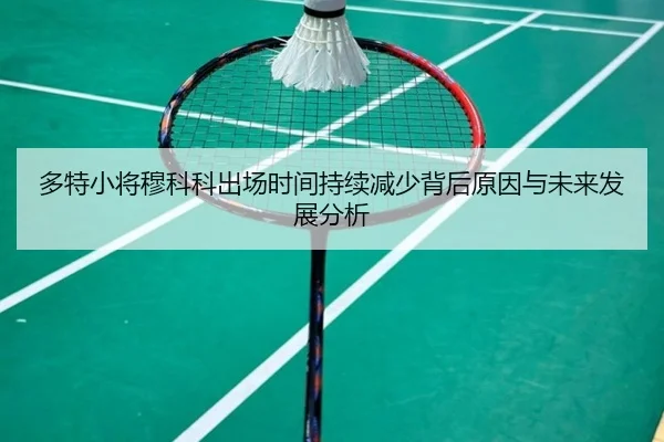 多特小将穆科科出场时间持续减少背后原因与未来发展分析